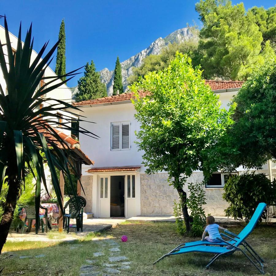 Lemon Tree Villa Kotor Dış mekan fotoğraf