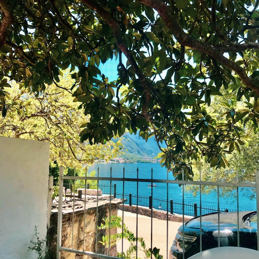 Lemon Tree Villa Kotor Dış mekan fotoğraf