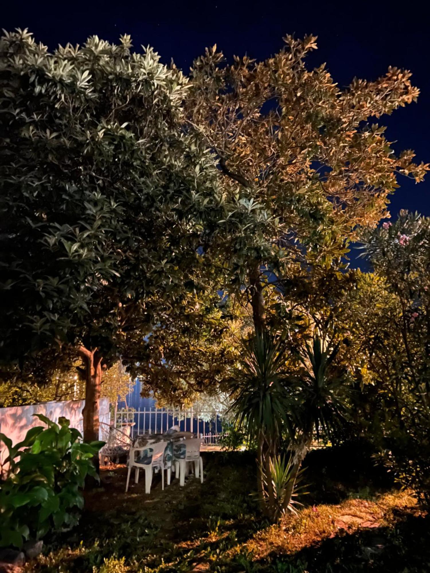 Lemon Tree Villa Kotor Dış mekan fotoğraf