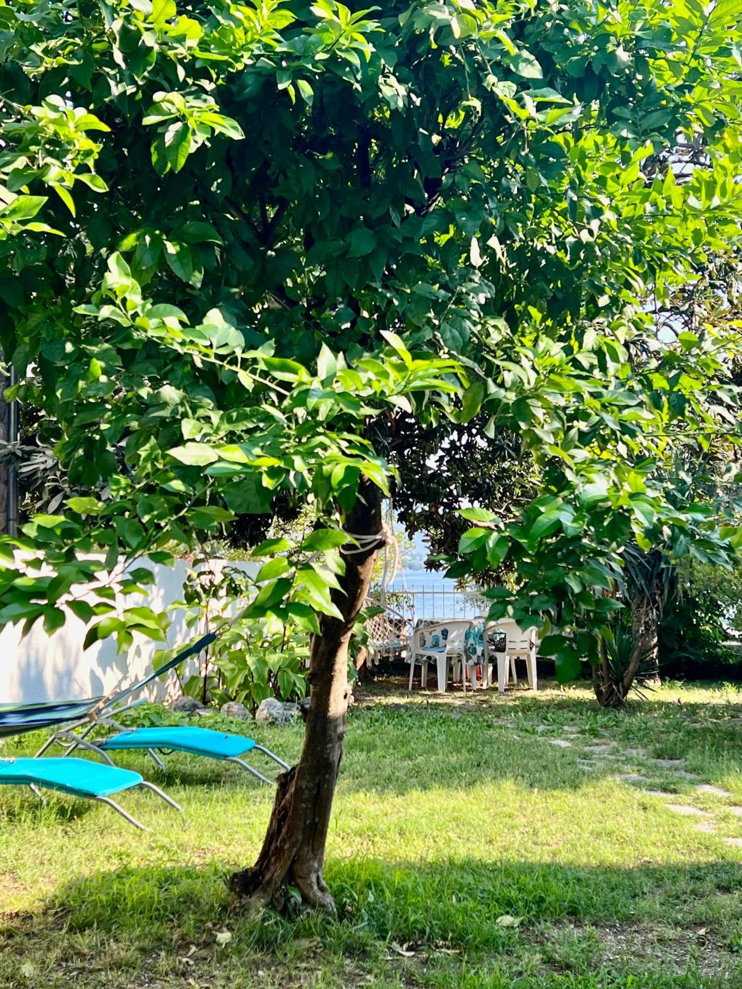 Lemon Tree Villa Kotor Dış mekan fotoğraf