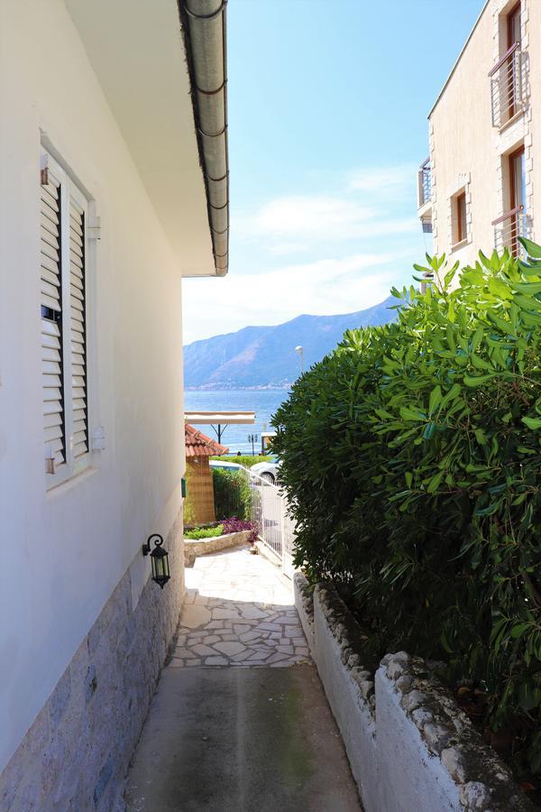 Lemon Tree Villa Kotor Dış mekan fotoğraf