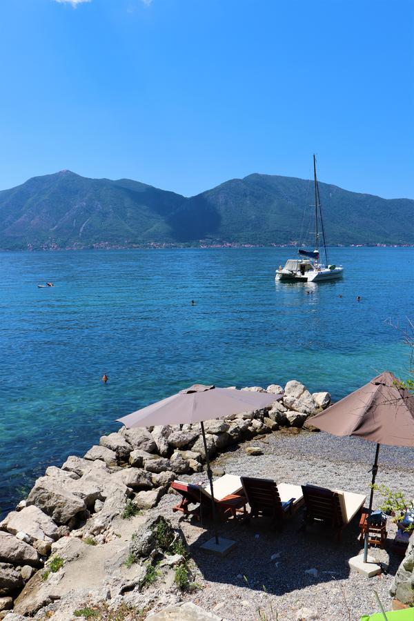 Lemon Tree Villa Kotor Dış mekan fotoğraf